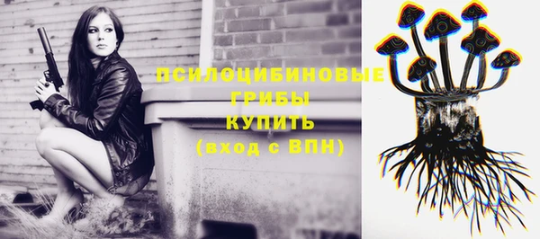 ПСИЛОЦИБИНОВЫЕ ГРИБЫ Алексин