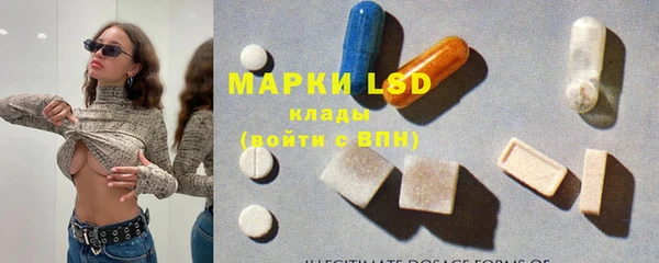 ПСИЛОЦИБИНОВЫЕ ГРИБЫ Алексин