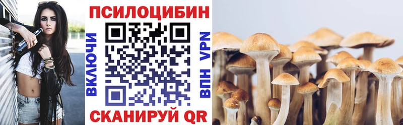 наркошоп  Боровск  Галлюциногенные грибы прущие грибы 